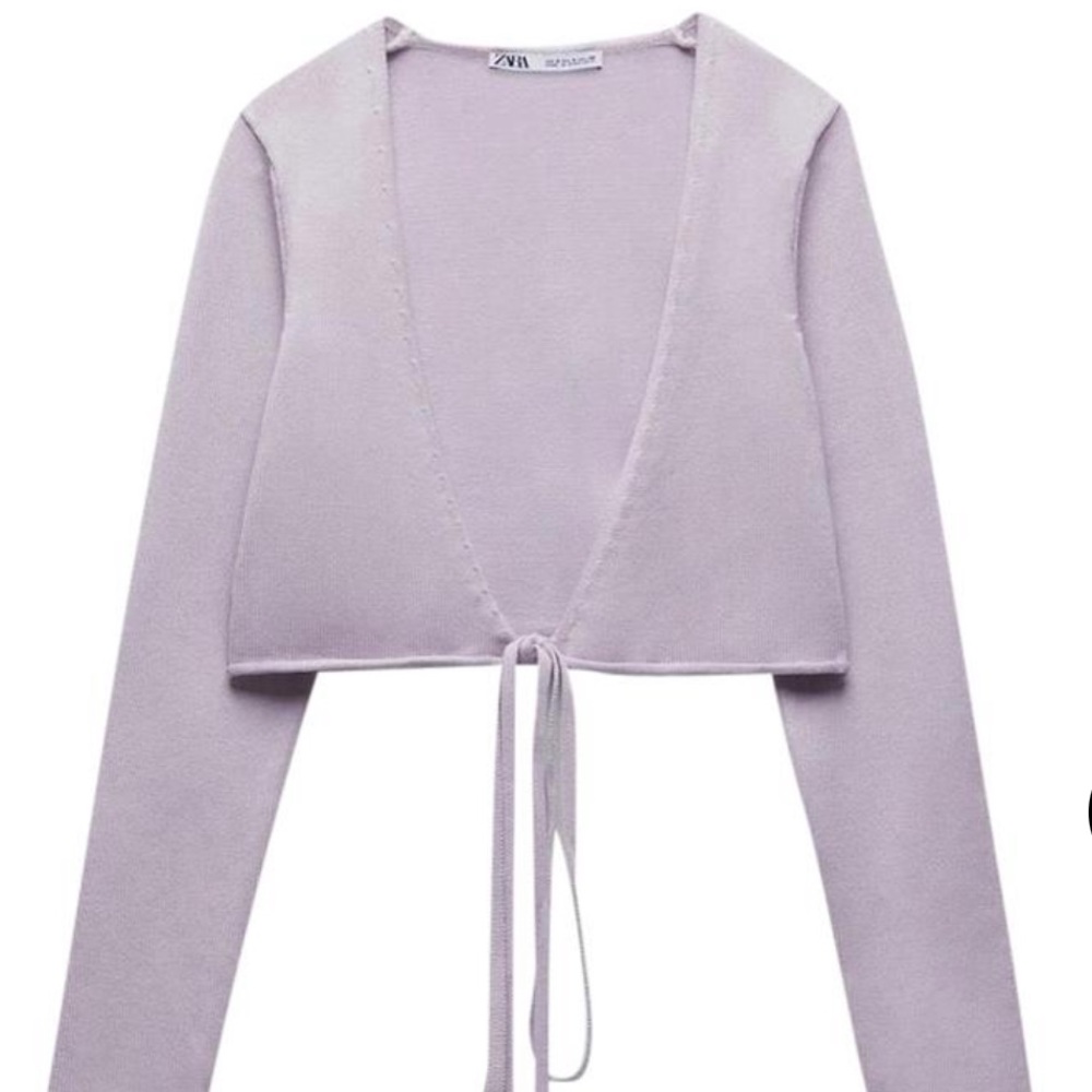 Zara Knit Crop Wrap Top
